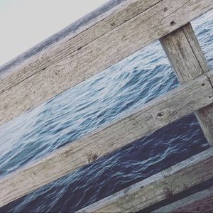 Meet your Posher, Dylan